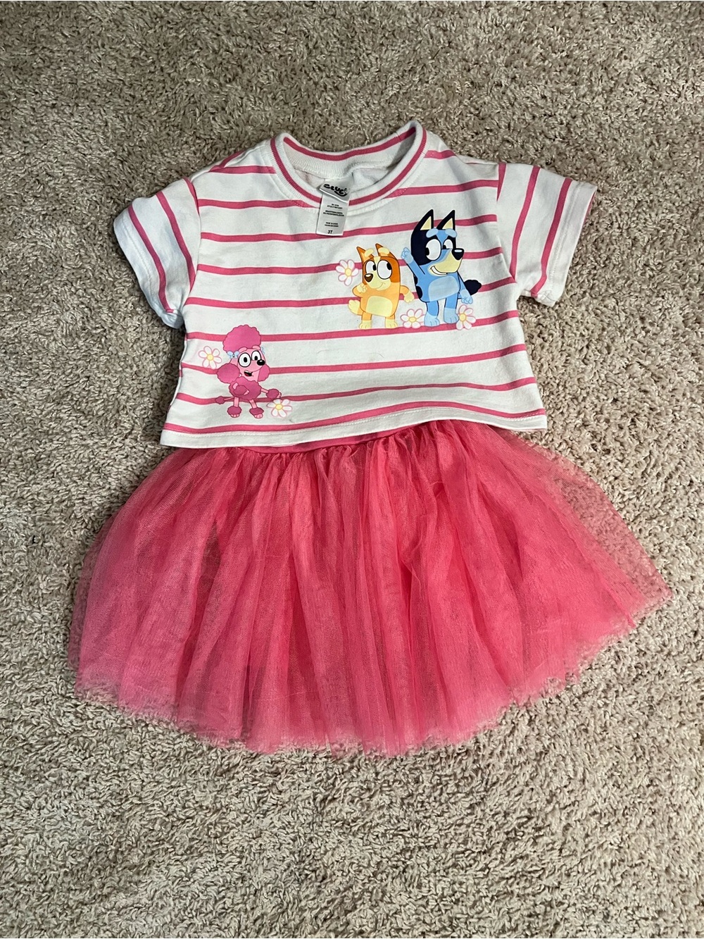 Striped Bluey Tee with Pink Tulle Skirt